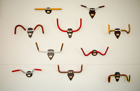 bike-antlers