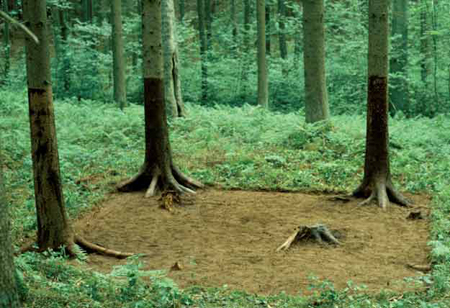 michael-sailstorfer-forest1.jpg