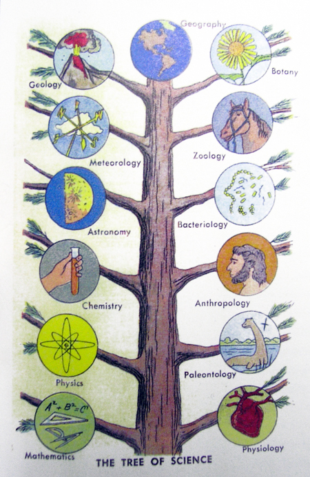 Genetologic Research » Blog Archive » The Family Tree of ...